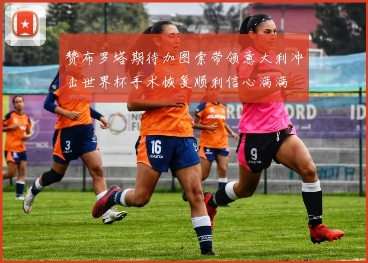 赞布罗塔期待加图索带领意大利冲击世界杯手术恢复顺利信心满满